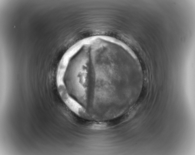 X0000085770369200704091357