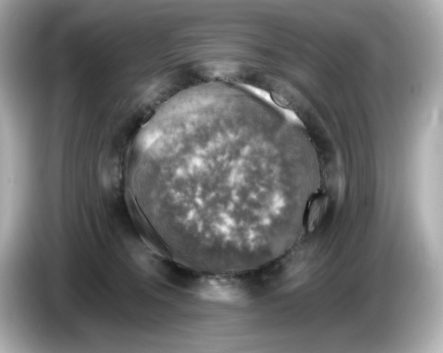 X0000085770372200704091357