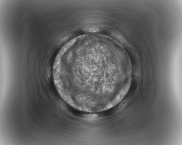 X0000085770374200704091357