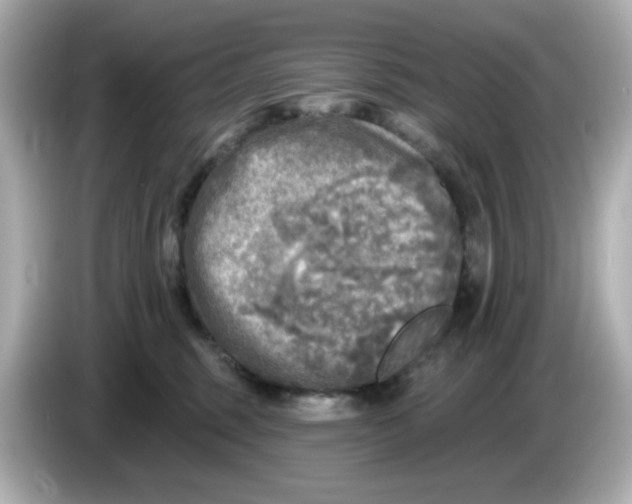 X0000085770375200704091357