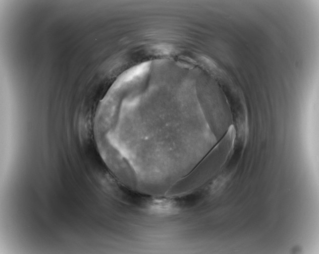 X0000085770376200704091357