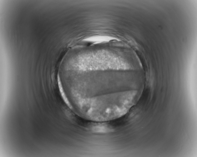 X0000085770377200704091357