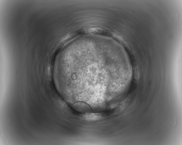 X0000085770378200704091357