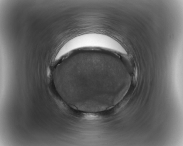 X0000085770380200704091357