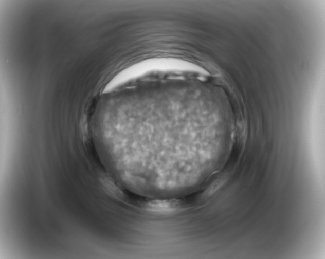 X0000085770381200704091357