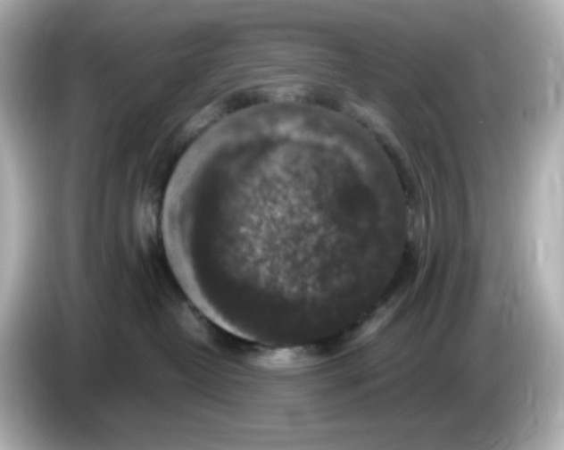 X0000085770382200704091357