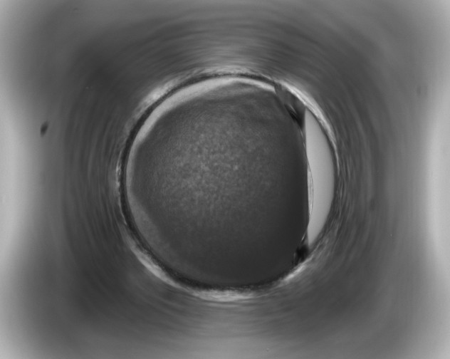 X0000085770389200704091356