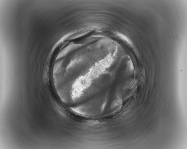 X0000085770392200704091356