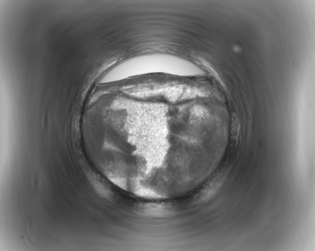 X0000085770394200704091356