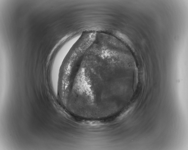 X0000085770395200704091356