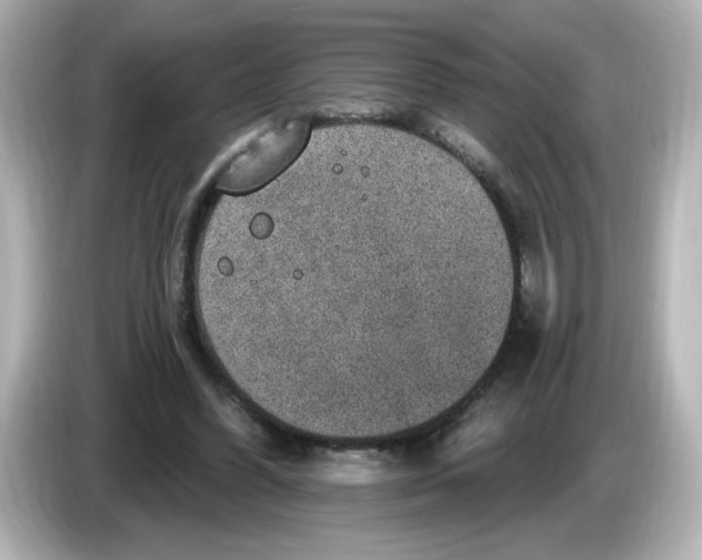 X0000085770396200704091356