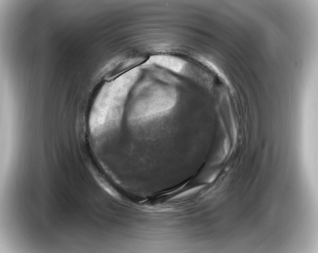 X0000085770397200704091356