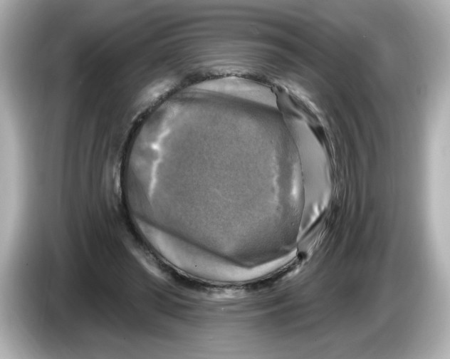 X0000085770398200704091356