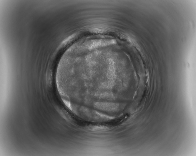 X0000085770400200704091356