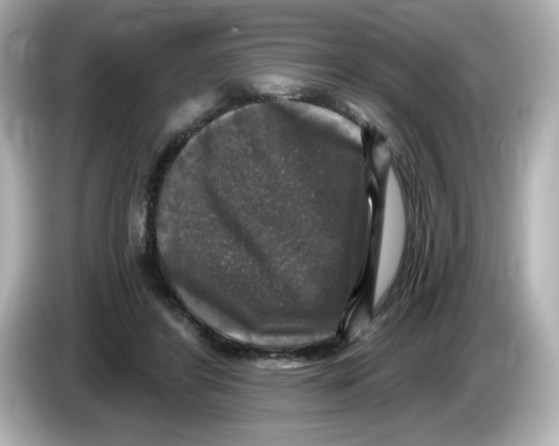 X0000085770404200704091356