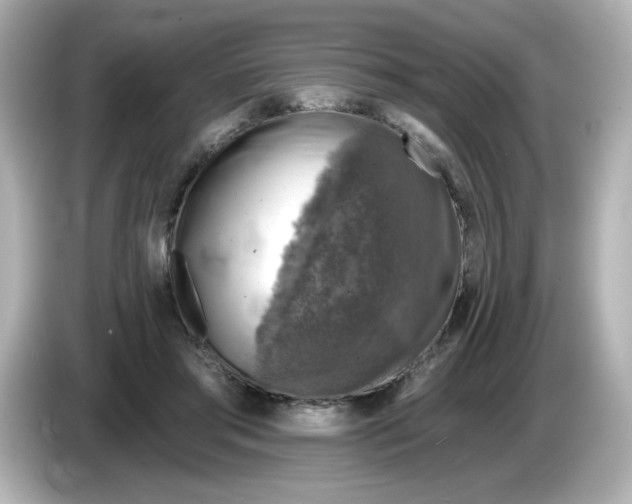 X0000085770405200704091356