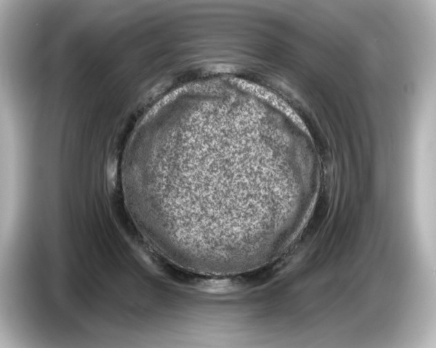 X0000085770406200704091356