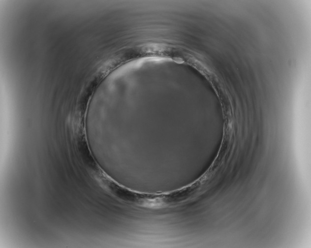 X0000085770411200704091356