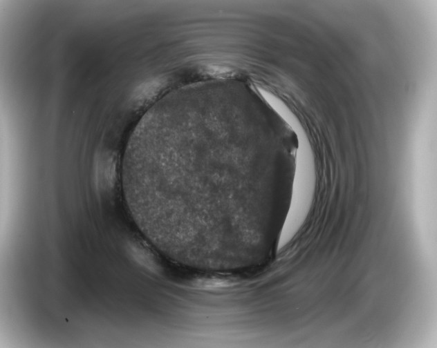 X0000085770412200704091356