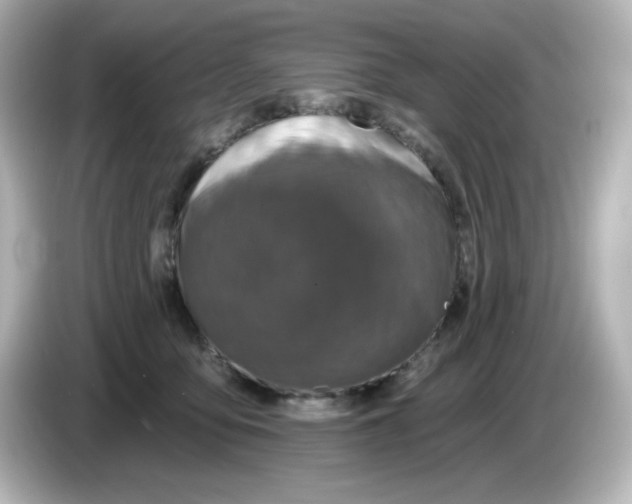 X0000085770419200704091356