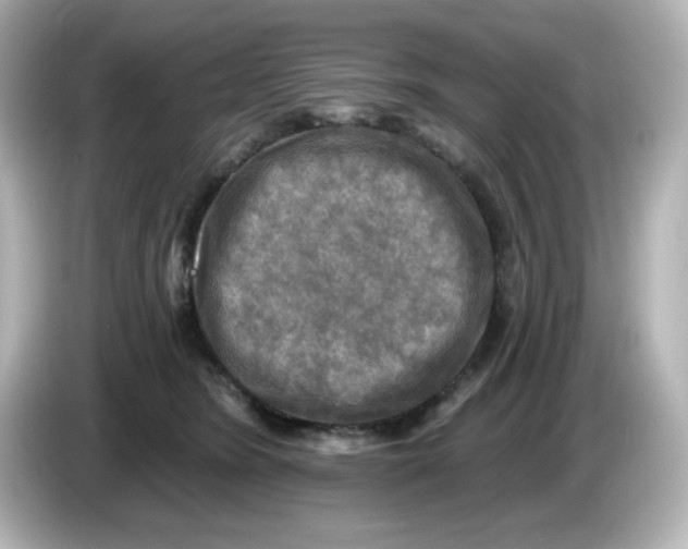 X0000085770420200704091356