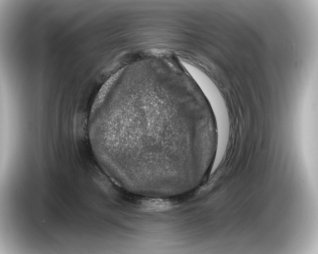 X0000085770421200704091356