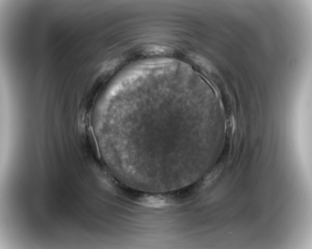 X0000085770423200704091356