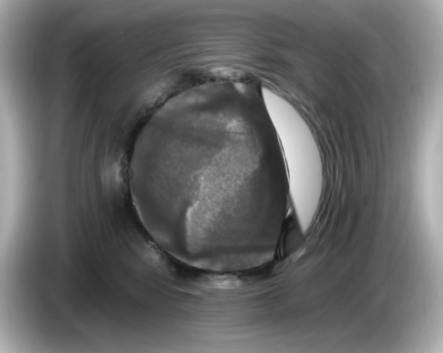 X0000085770424200704091356