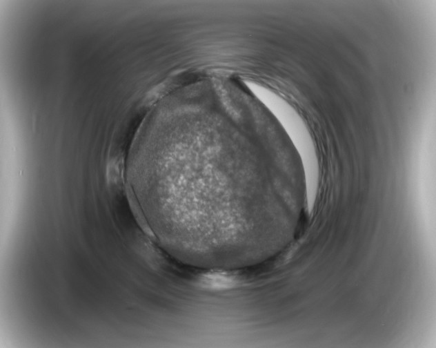 X0000085770425200704091356