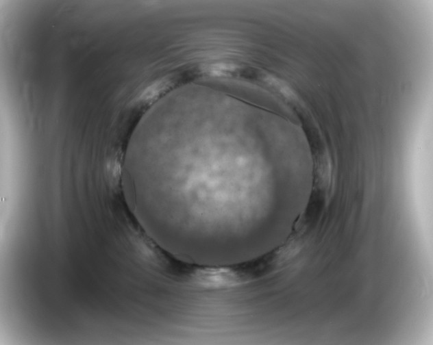 X0000085770427200704091356