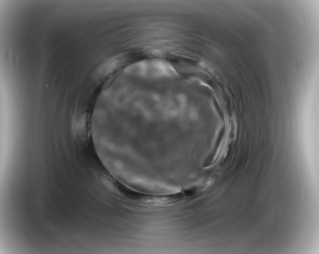 X0000085770428200704091356