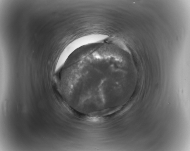 X0000085770432200704091356