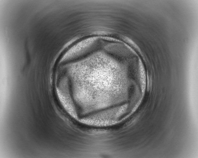 X0000085770435200704091355