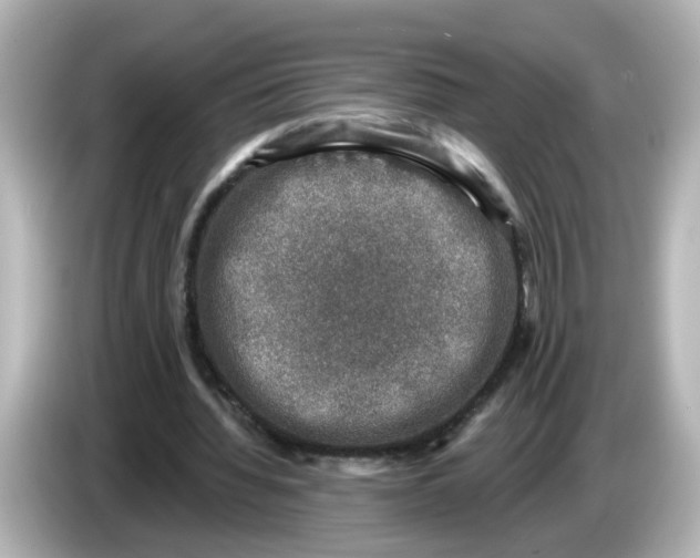 X0000085770436200704091355