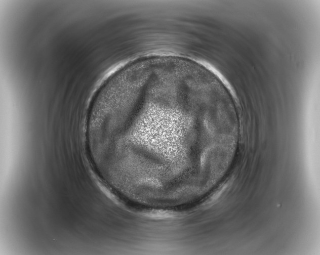 X0000085770437200704091355