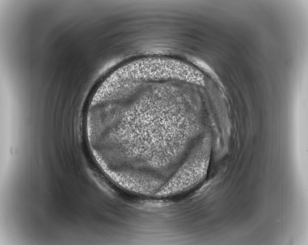 X0000085770439200704091355