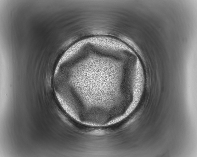 X0000085770441200704091355