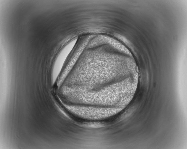 X0000085770445200704091355