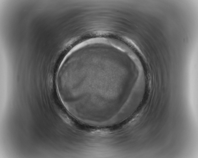 X0000085770447200704091355