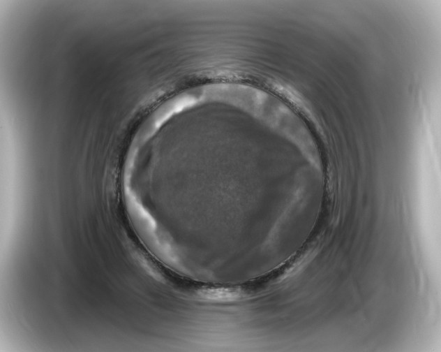 X0000085770449200704091355