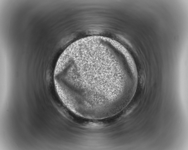 X0000085770455200704091356