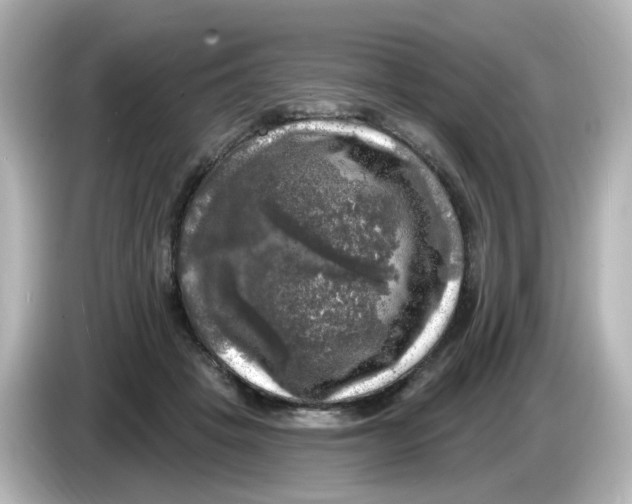 X0000085770457200704091356