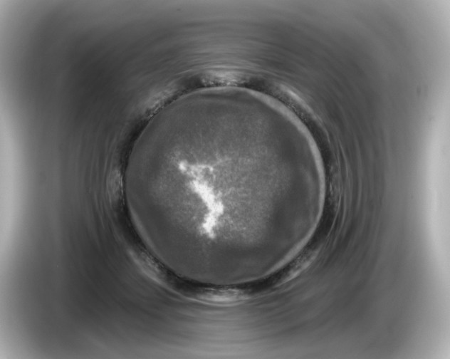 X0000085770459200704091356