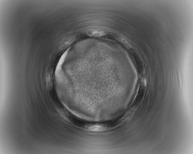 X0000085770460200704091356