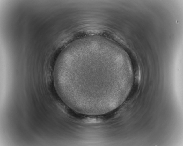 X0000085770464200704091356