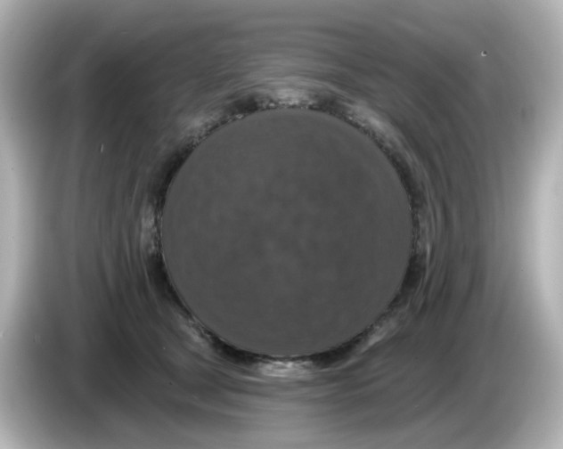 X0000085770465200704091356