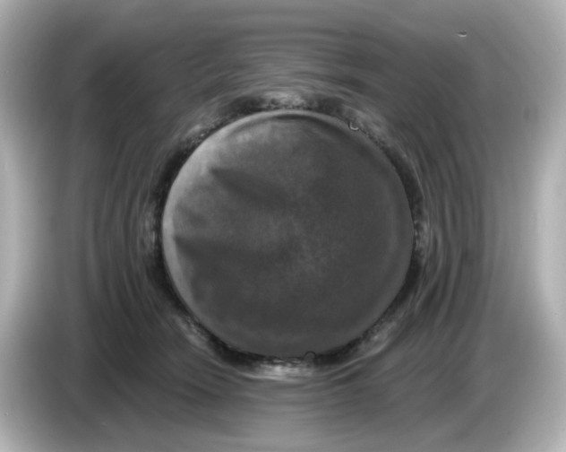 X0000085770466200704091356