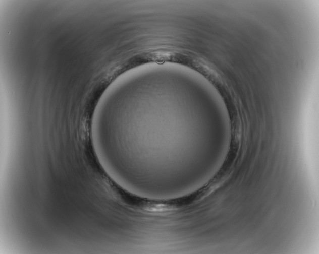 X0000085770467200704091356