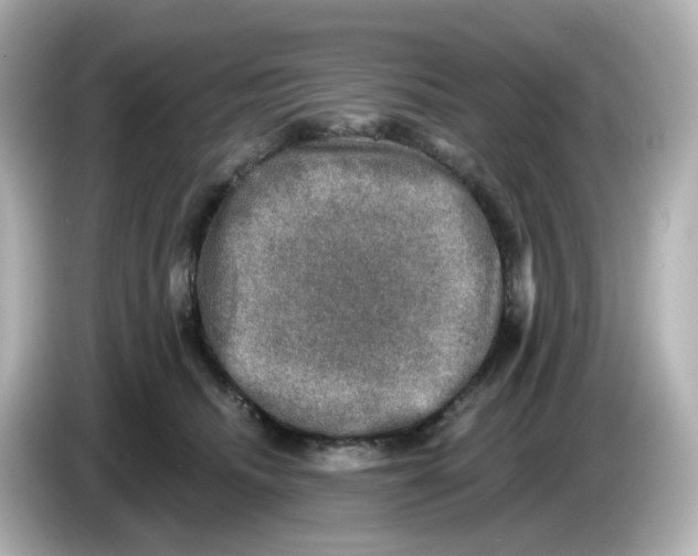 X0000085770468200704091356