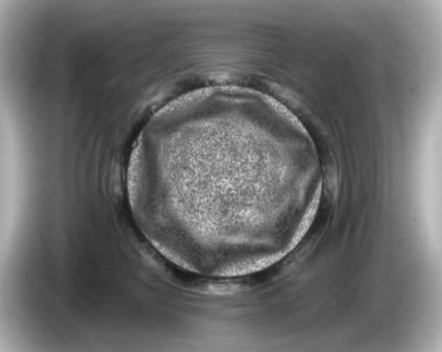 X0000085770470200704091356